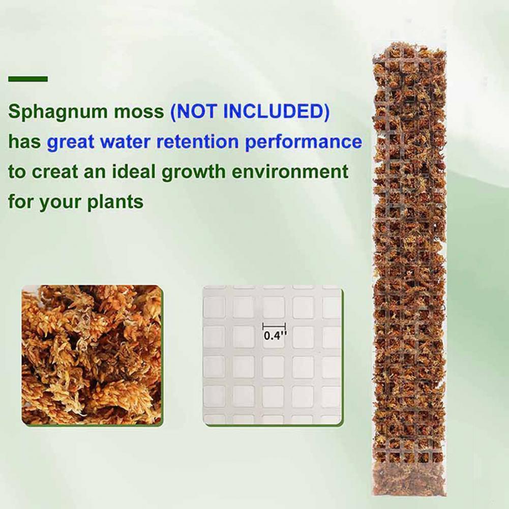 Sphagnum Moss Dry - Suporte para Plantas Trepadeiras com Fixação