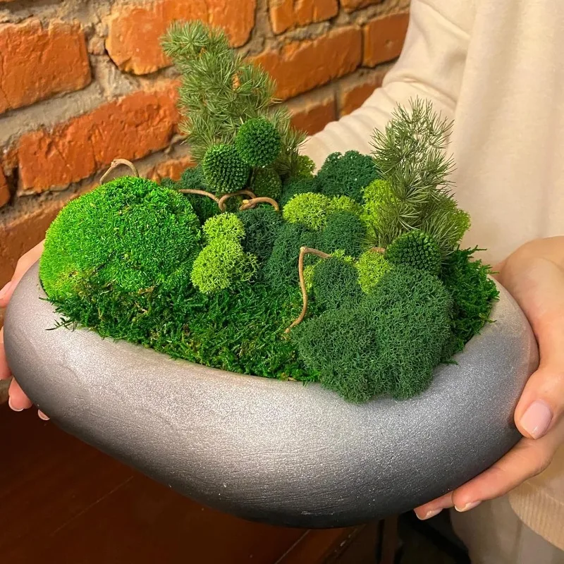 Musgo Artificial de Vida Etern - Sphagnum Moss Dry avaliação e preço