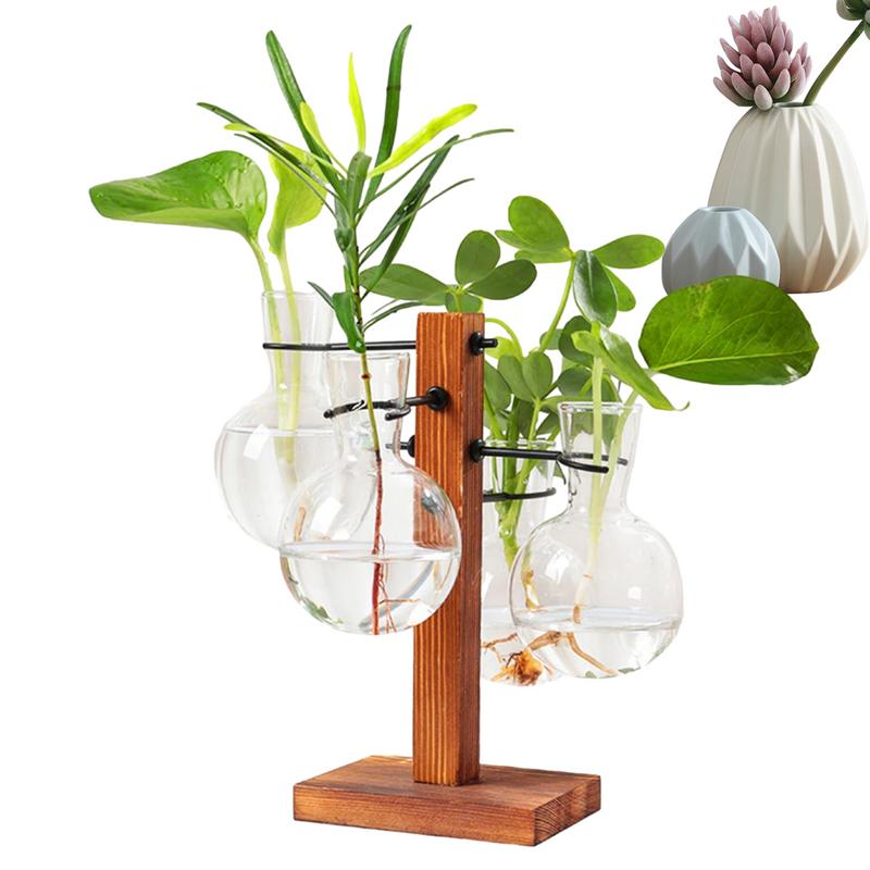 Moderno Planta Terrário Com Su - Propagation Station Vase avaliação e preço