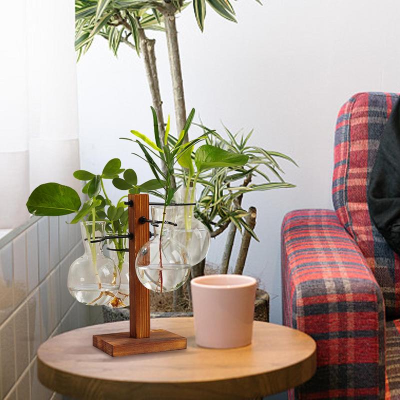 Moderno Planta Terrário Com Su - Propagation Station Vase avaliação e preço