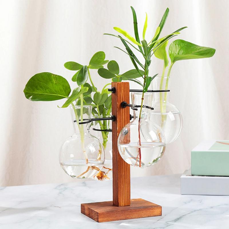Moderno Planta Terrário Com Su - Propagation Station Vase avaliação e preço