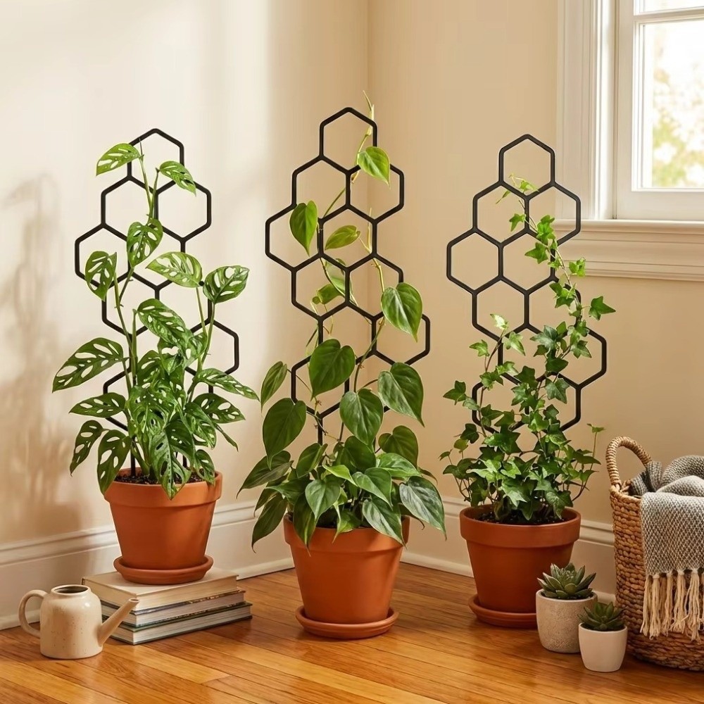 Suporte Plástico para Plantas  - Sphagnum Moss Dry avaliação e preço