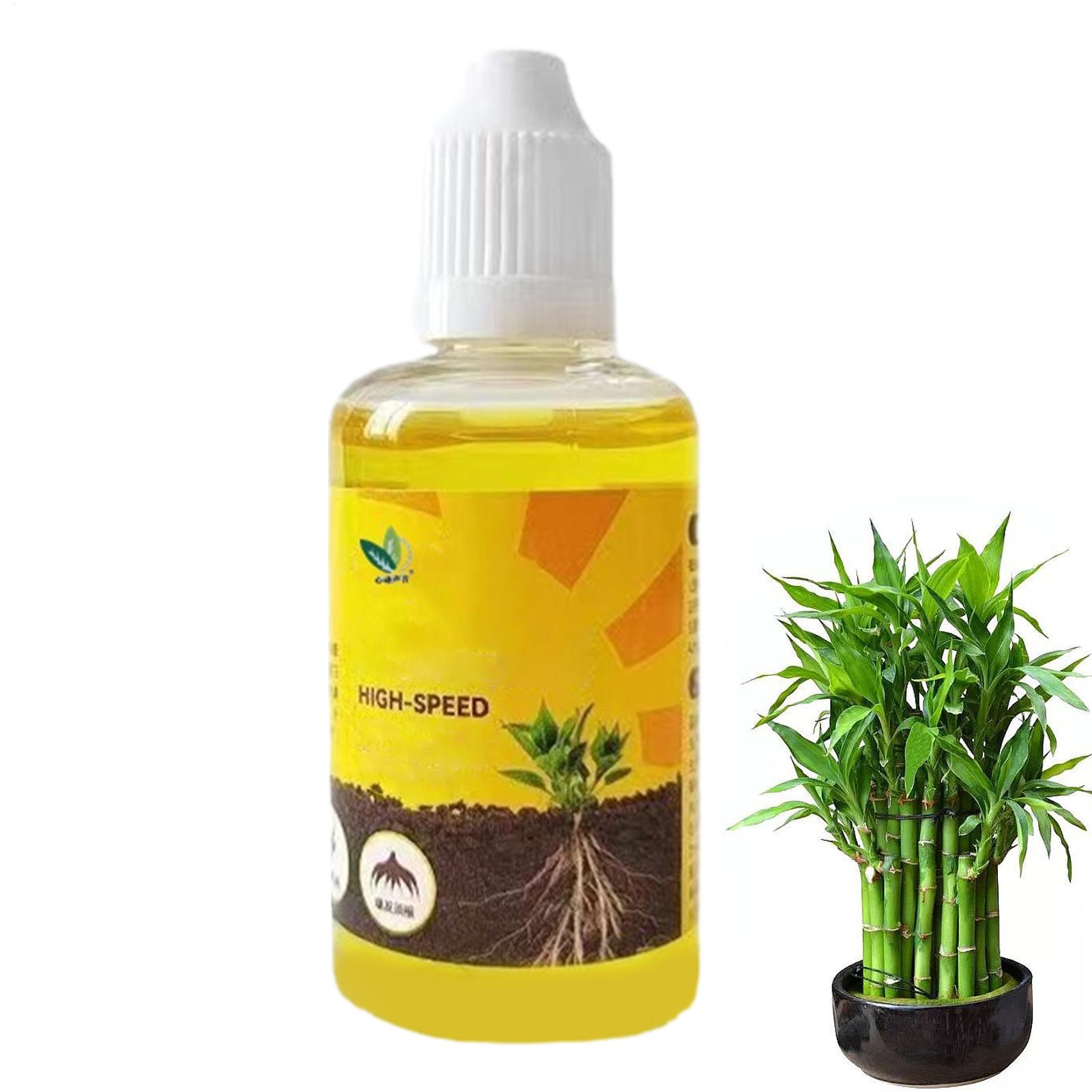 Estimulador de Enraizamento de - Root Stimulator Liquid avaliação e preço