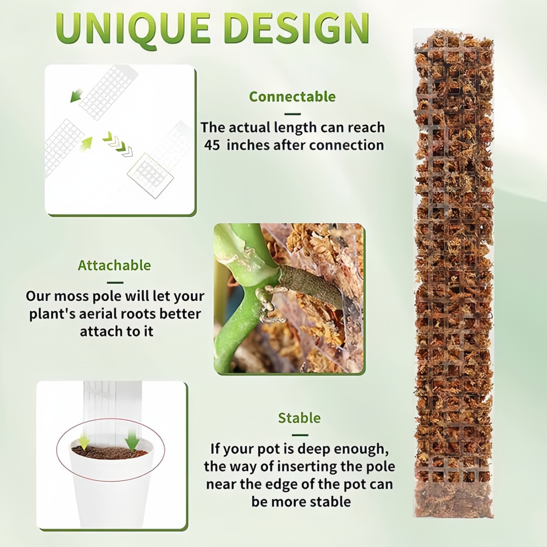 Pólo de musgo plástico planta  - Sphagnum Moss Dry avaliação e preço