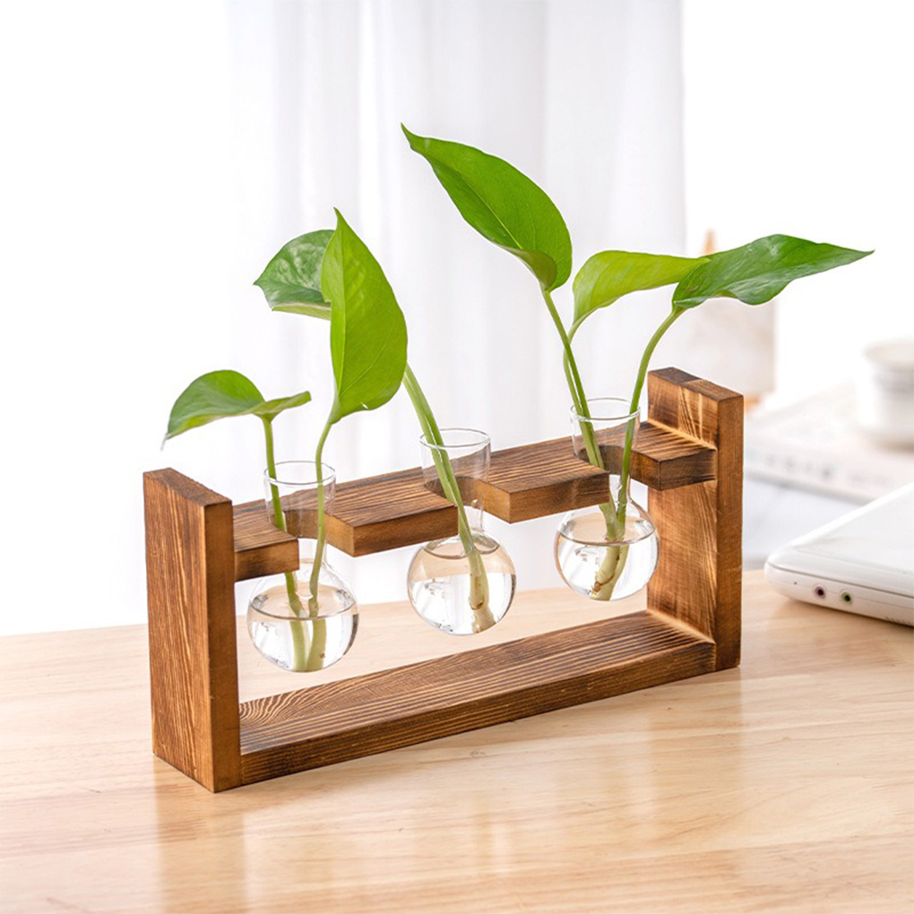 Vasos plantador hidropônico pa - Propagation Station Vase avaliação e preço