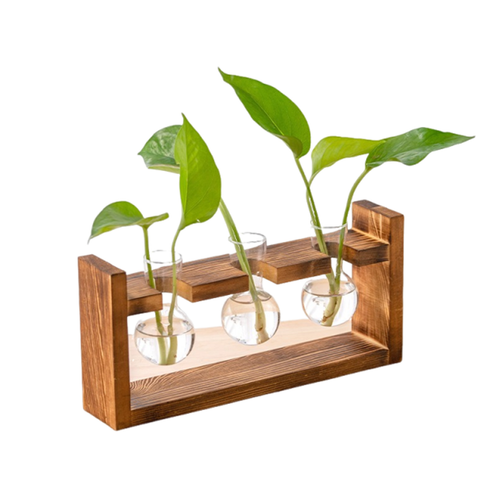 Vasos plantador hidropônico pa - Propagation Station Vase avaliação e preço