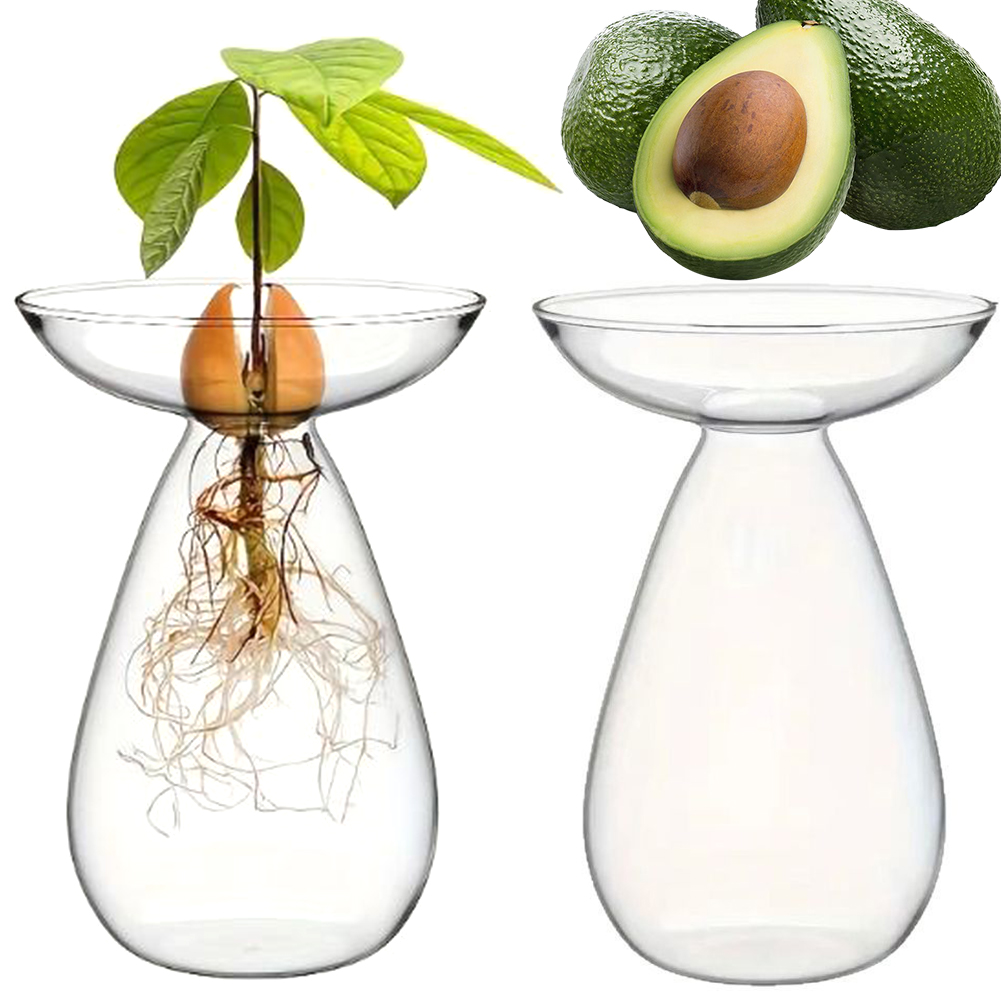 Vaso Hidropônico Transparente  - Propagation Station Vase avaliação e preço